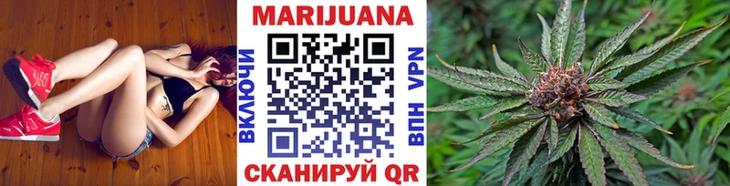 где можно купить   Сальск  Каннабис план 